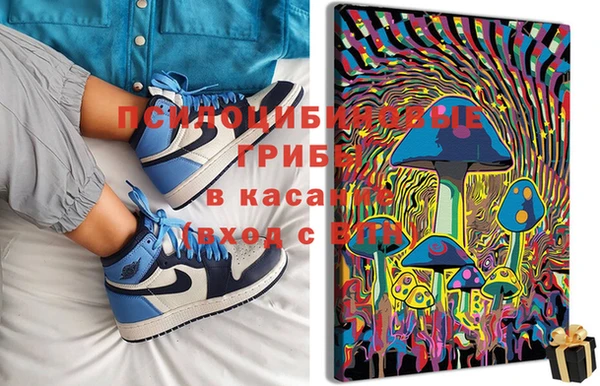 дмт Белокуриха
