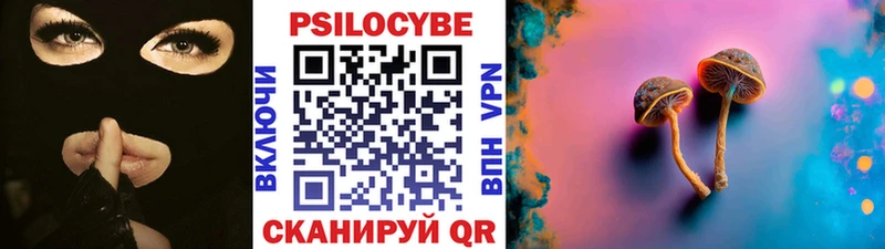 наркота  Тара  Псилоцибиновые грибы прущие грибы 